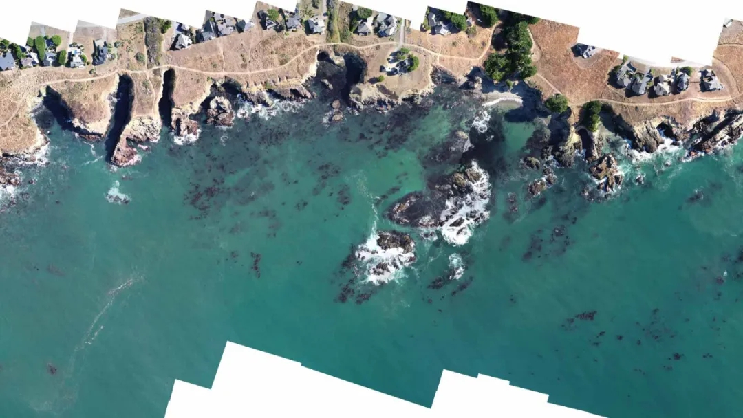 水上测绘：挽救消亡中的海藻林